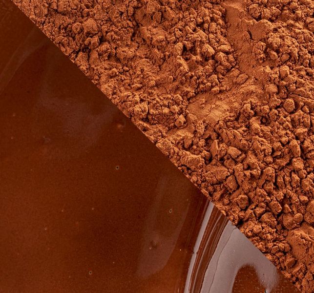 Какао-порошок алкалізований Cacao barry "Plein Arоme",1 кг id_1350 фото